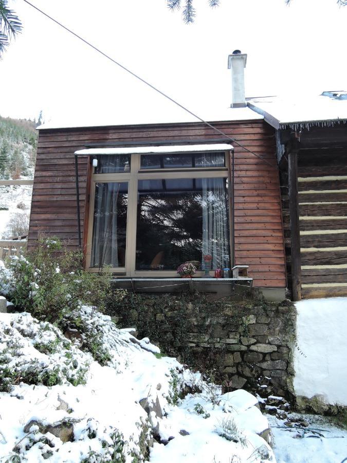 Appartamento Atelier Eliska Staré Hory Esterno foto